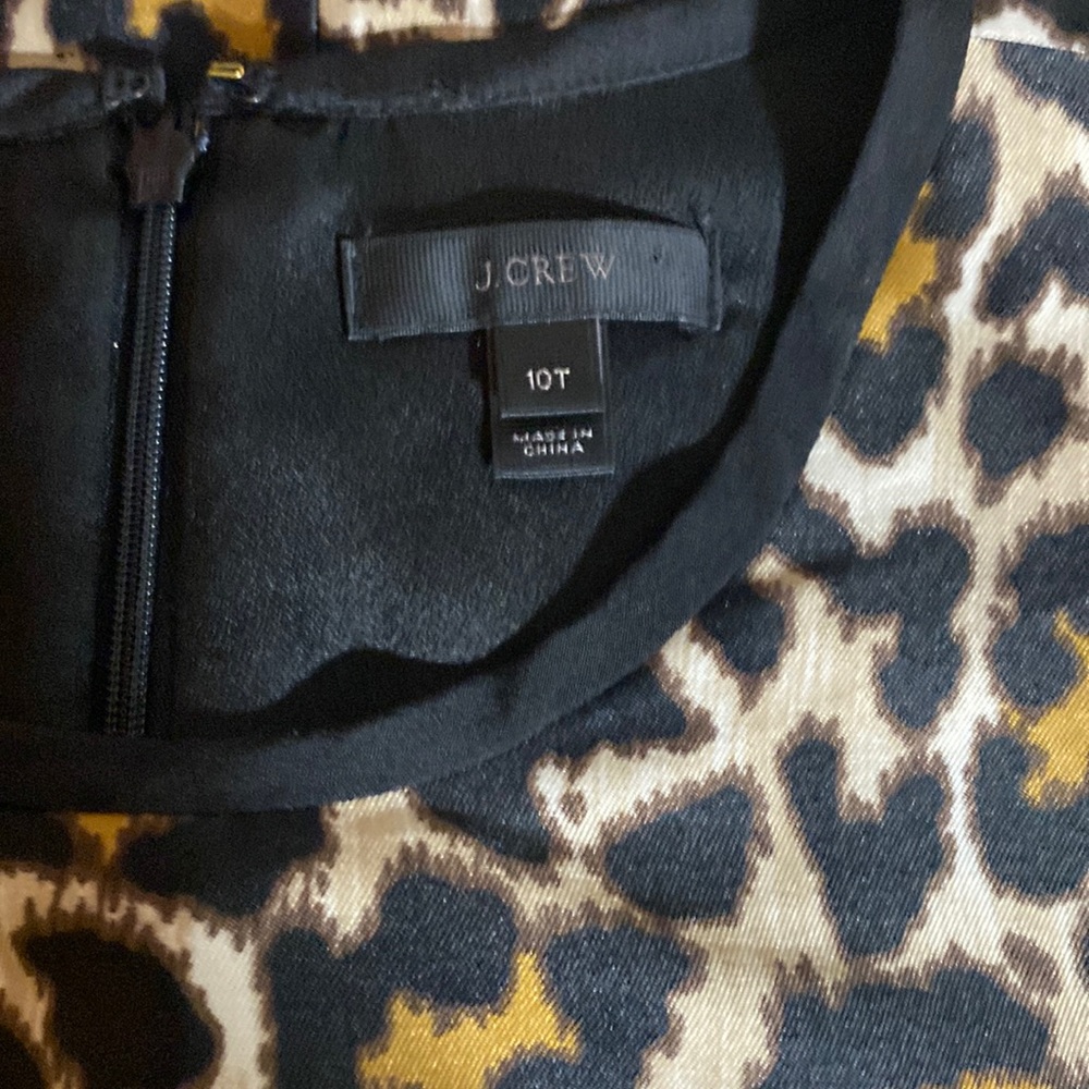 JCrew 10 T Print dress